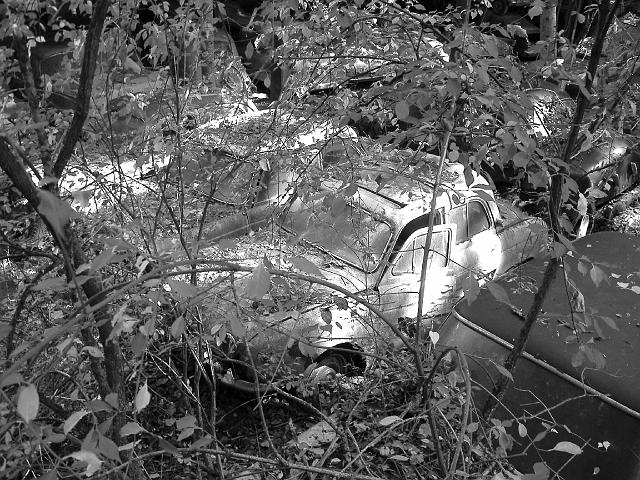 Autofriedhof - 077.JPG - Historischer Autofriedhof,    Gürbetal (CH)
